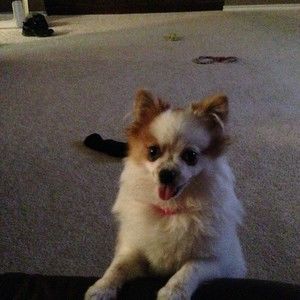 Meet your Posher, Barbara